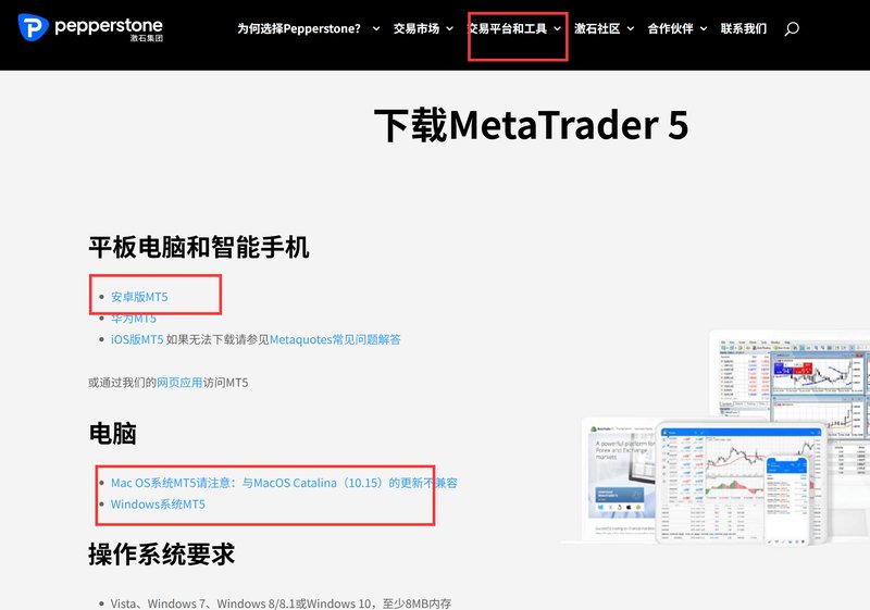 激石有MT5软件吗